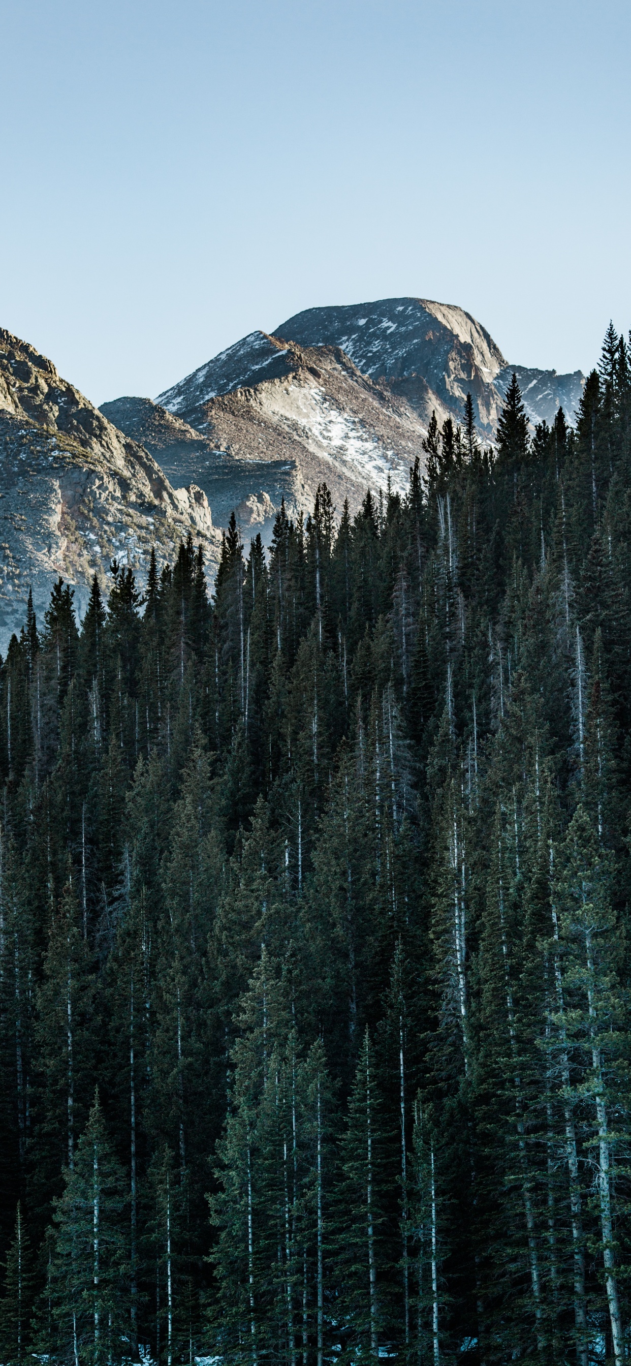 Обои гора, дерево, природный ландшафт, биом, отражение в разрешении 1242x2688