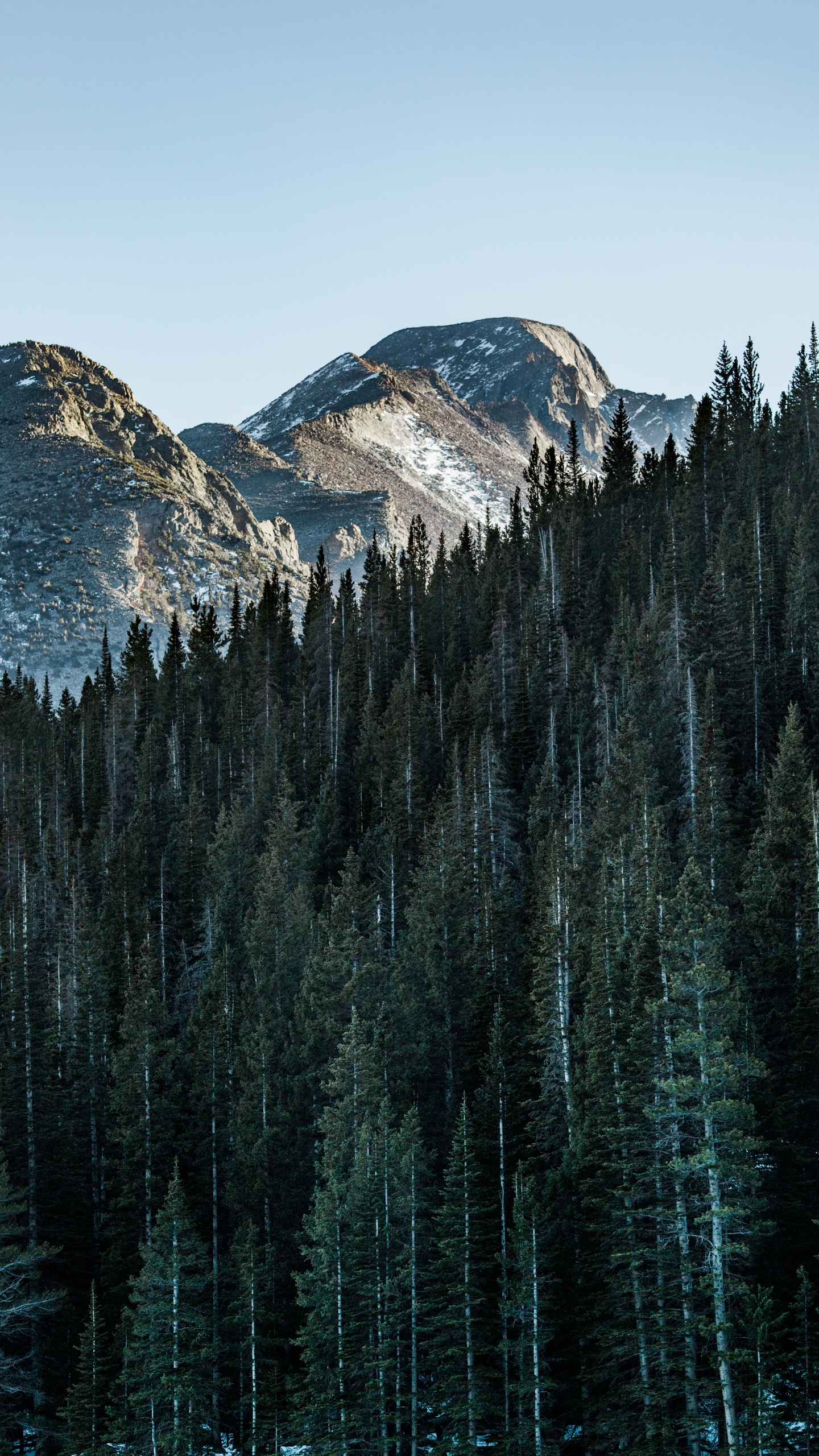 Обои гора, дерево, природный ландшафт, биом, отражение в разрешении 1440x2560