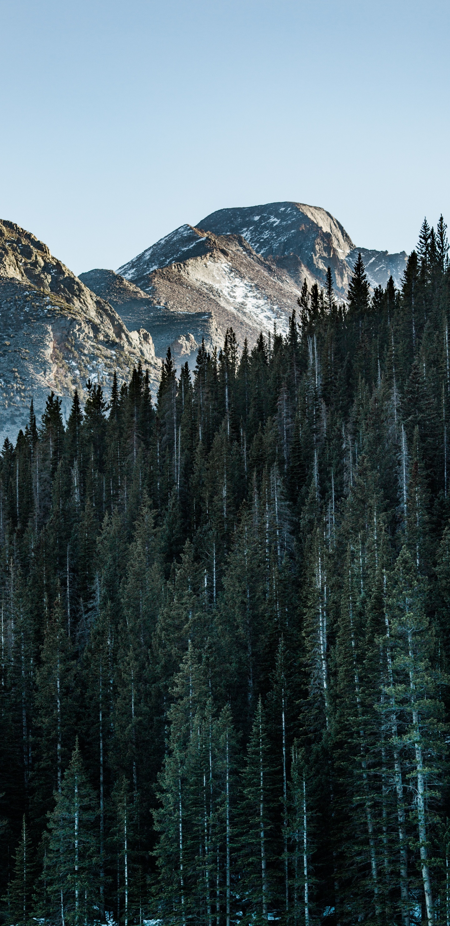 Обои гора, дерево, природный ландшафт, биом, отражение в разрешении 1440x2960