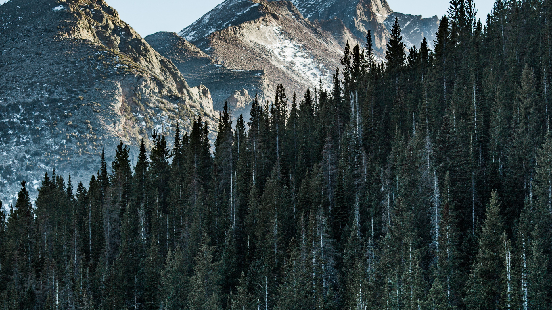 Обои гора, дерево, природный ландшафт, биом, отражение в разрешении 1920x1080