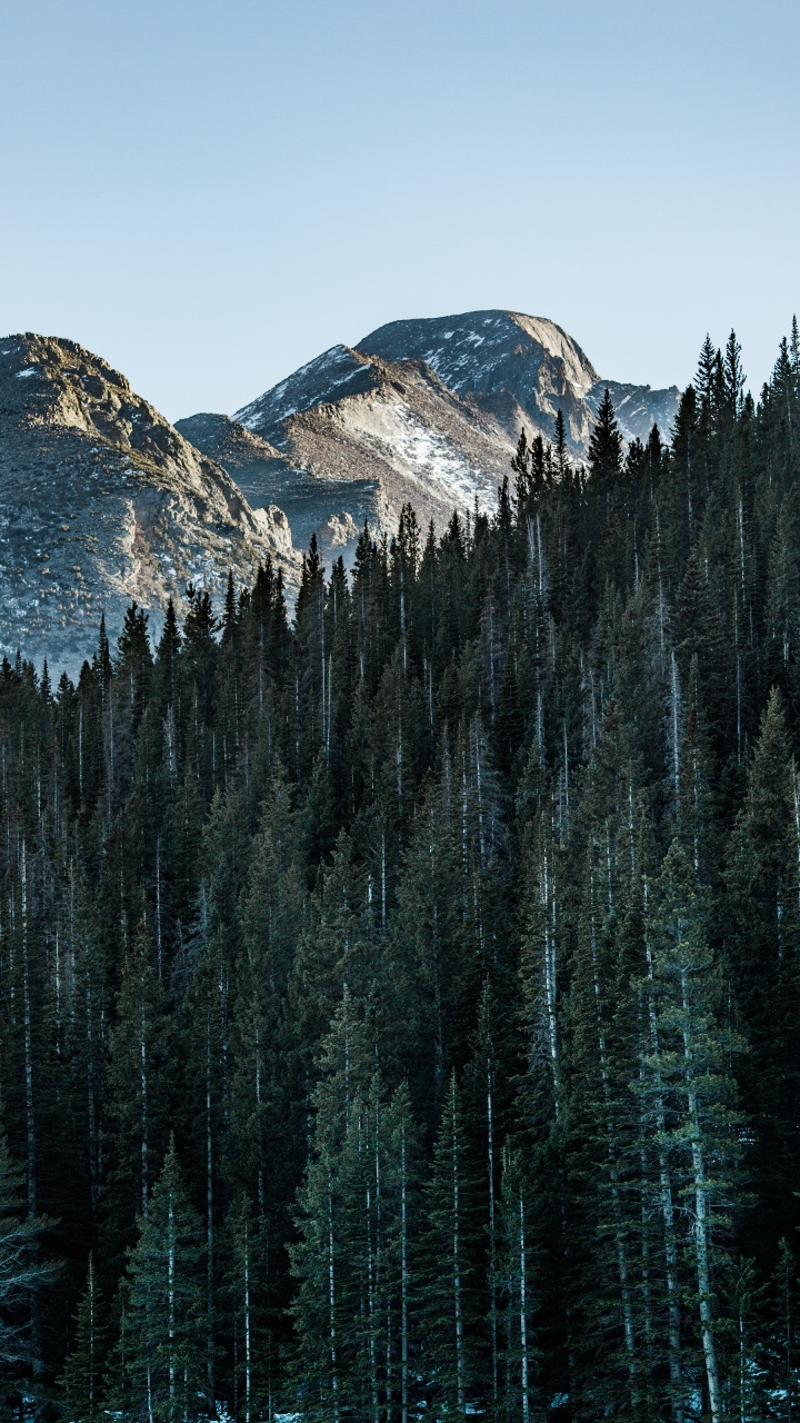 Обои гора, дерево, природный ландшафт, биом, отражение в разрешении 720x1280