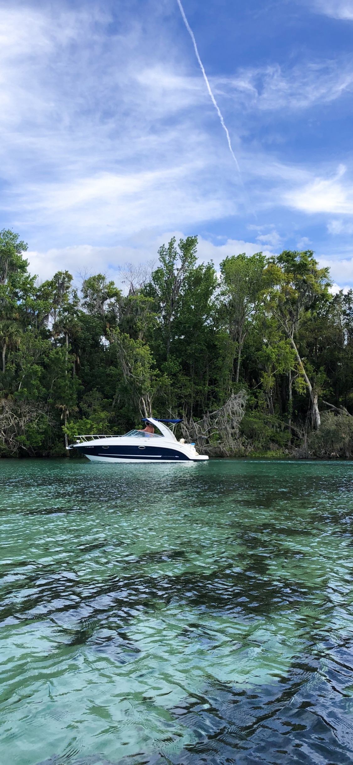 Обои природа, облако, судно, растительное сообщество, быстроходный катер в разрешении 1125x2436