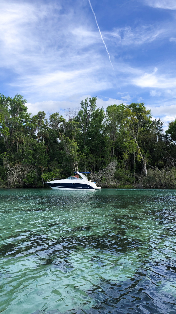 Обои природа, облако, судно, растительное сообщество, быстроходный катер в разрешении 750x1334