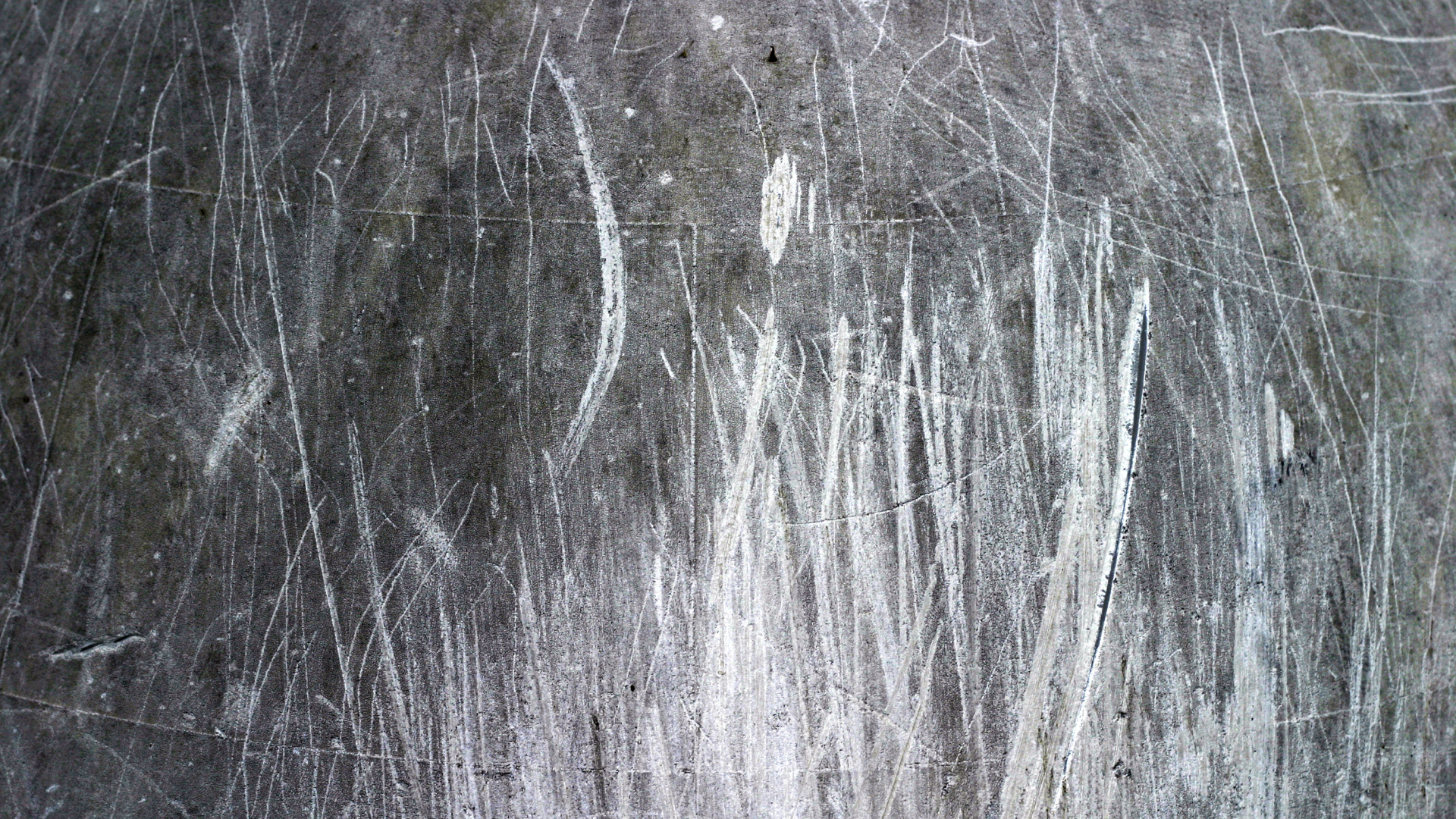 Обои текстура, древесина, дерево, замораживание, черный и белый в разрешении 1920x1080