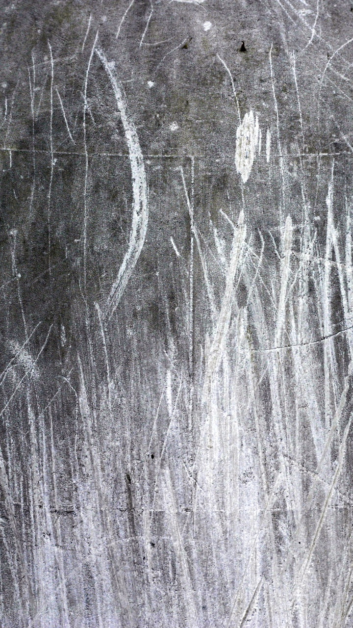Обои текстура, древесина, дерево, замораживание, черный и белый в разрешении 720x1280