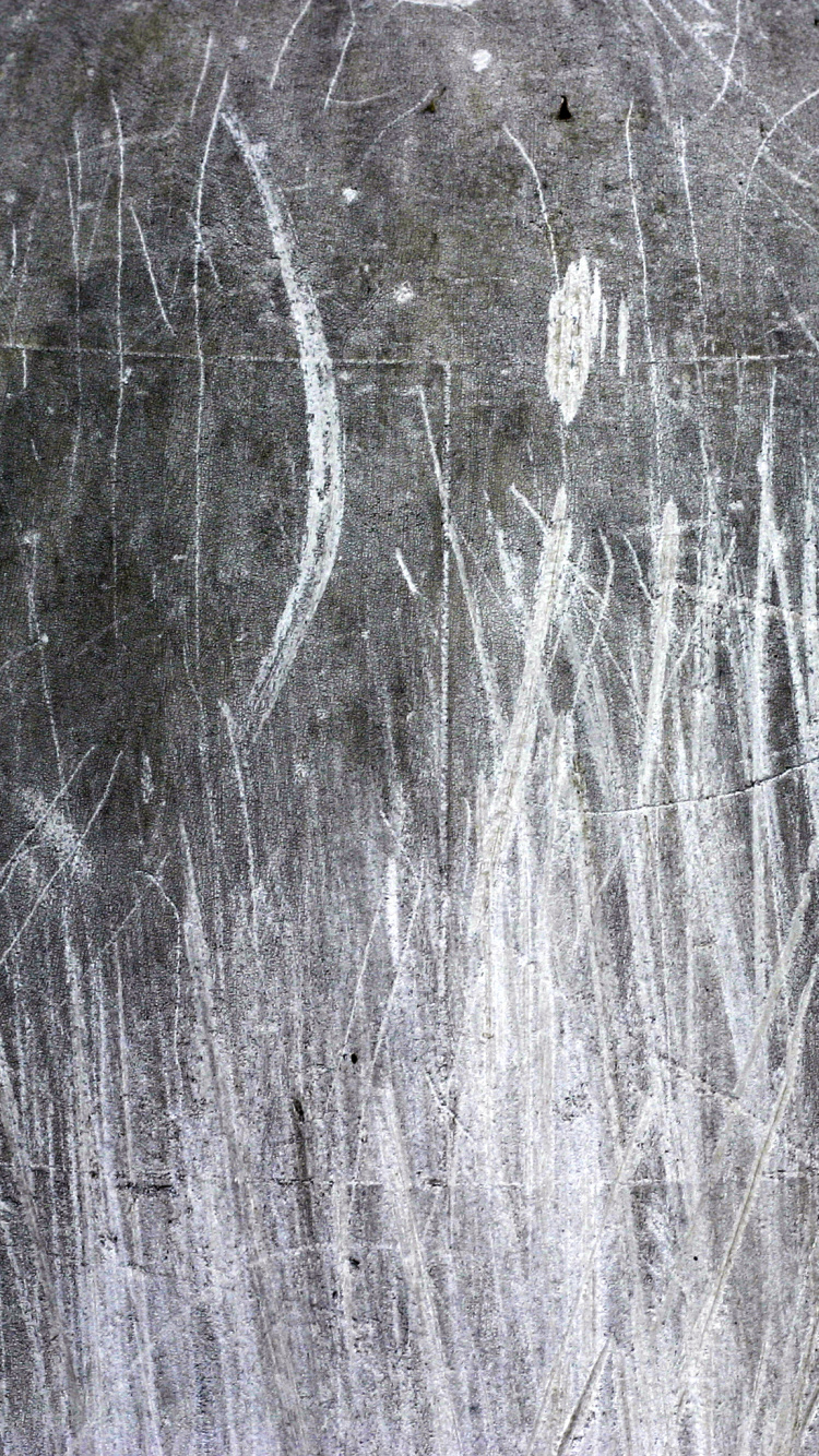 Обои текстура, древесина, дерево, замораживание, черный и белый в разрешении 750x1334