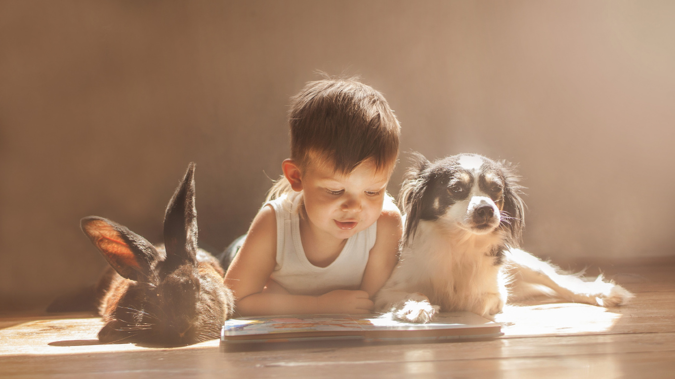 Обои пес, кролик, собака породы, ребенок, щенячья любовь в разрешении 1366x768