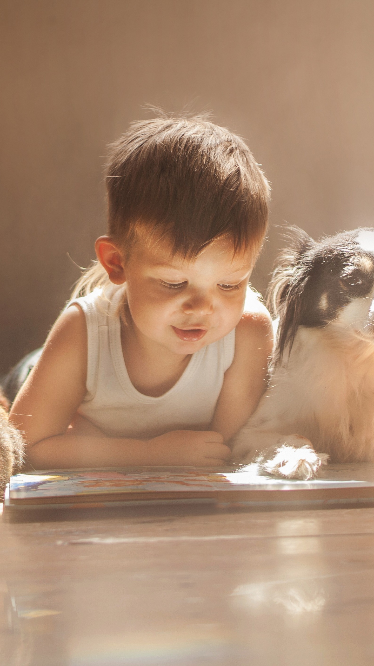 Обои пес, кролик, собака породы, ребенок, щенячья любовь в разрешении 1440x2560