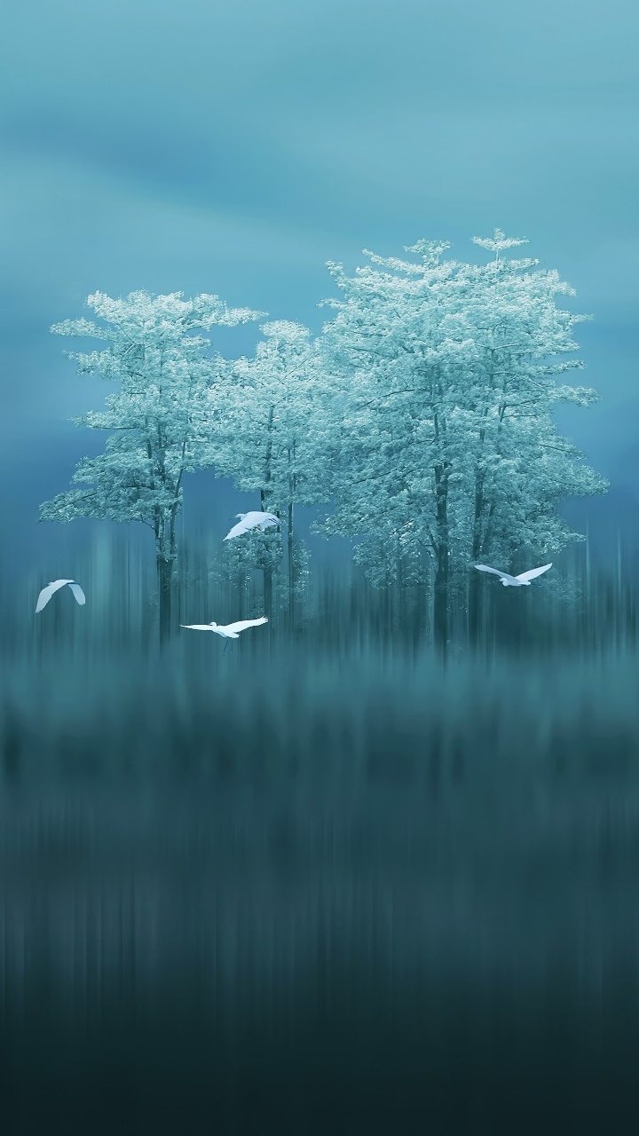 Обои Huawei, Huawei Mate, Huawei Mate 10, huawei mate 20 x, huawei mate 20 pro в разрешении 720x1280