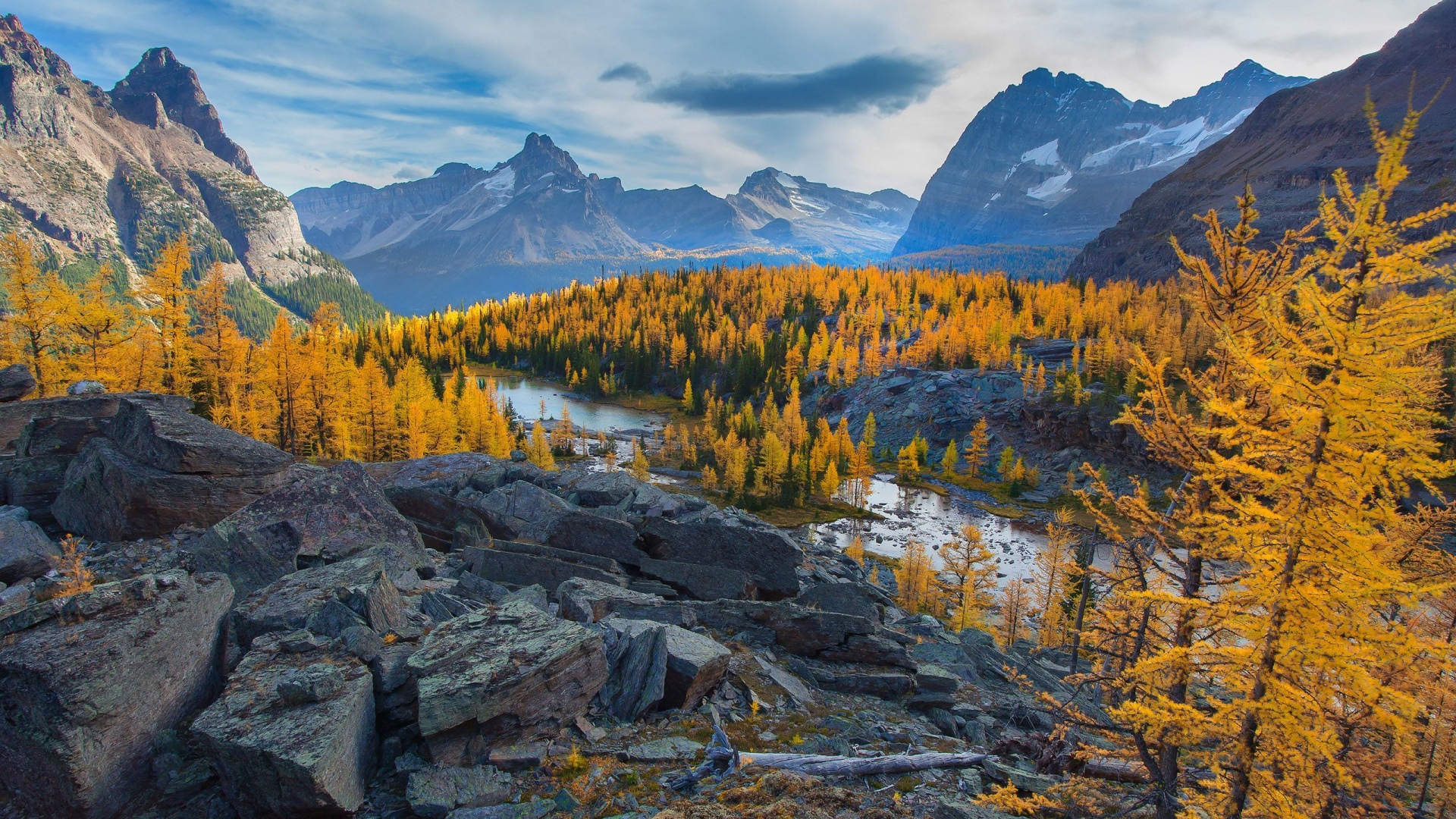 Обои дикая местность, гора, природа, дерево, лист в разрешении 1920x1080