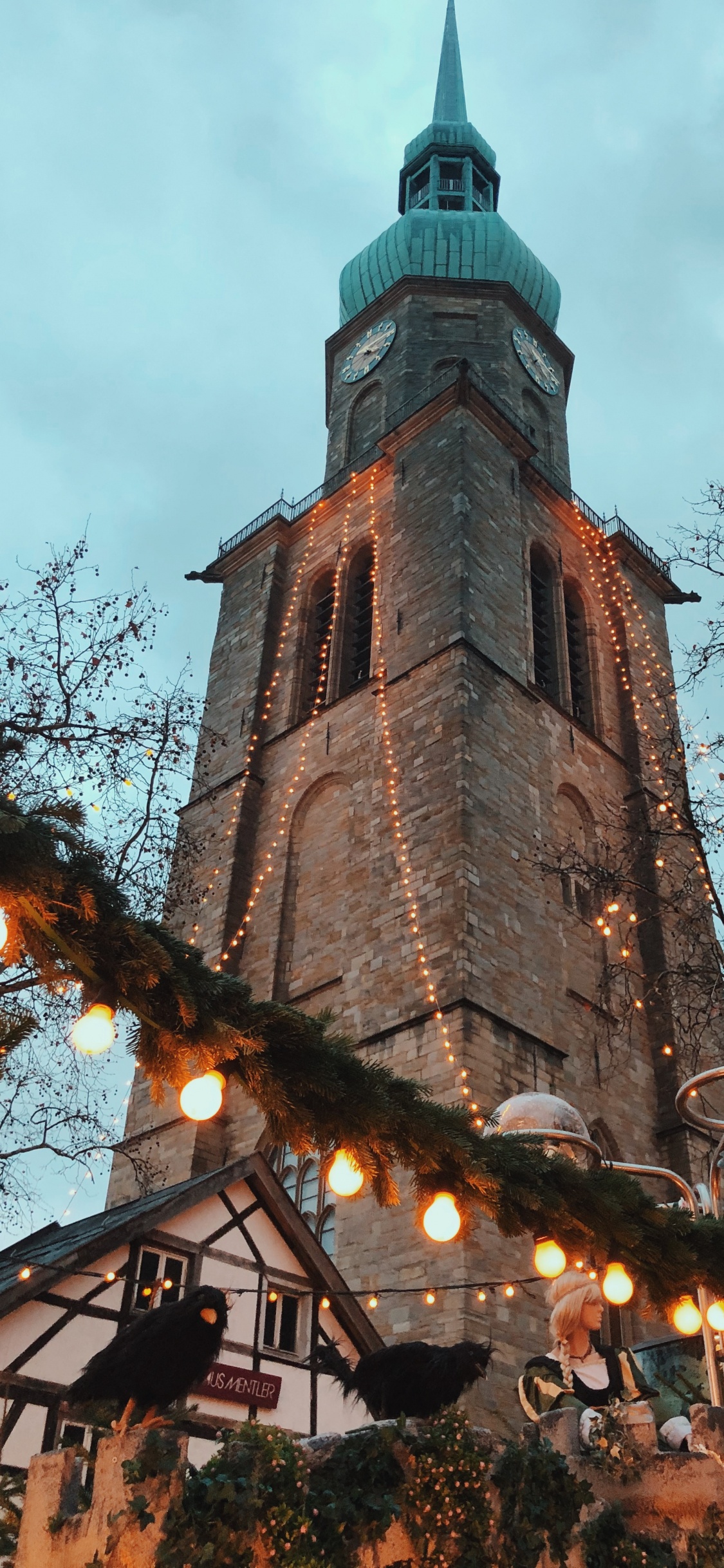 Обои ориентир, ветвь, прут, флерон, шпиль в разрешении 1125x2436