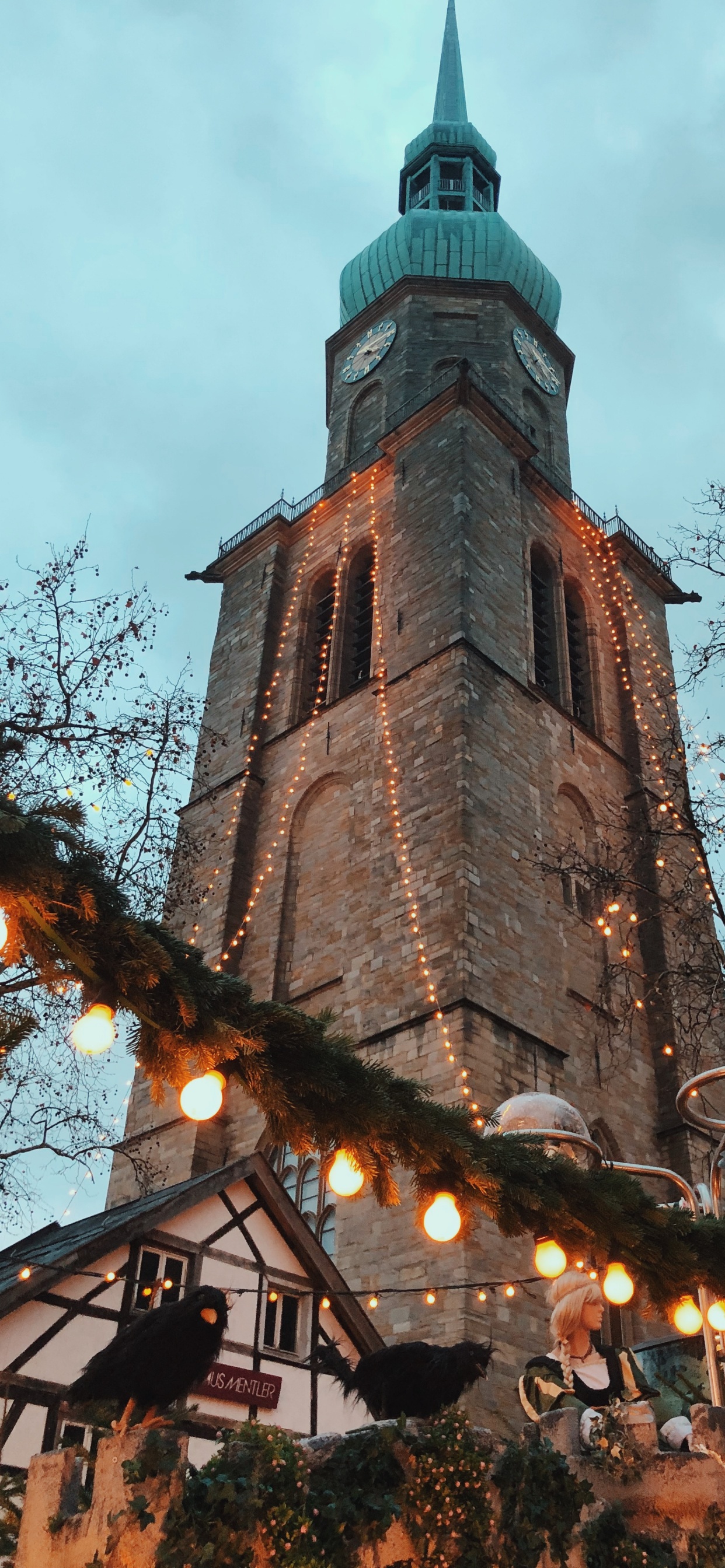 Обои ориентир, ветвь, прут, флерон, шпиль в разрешении 1242x2688