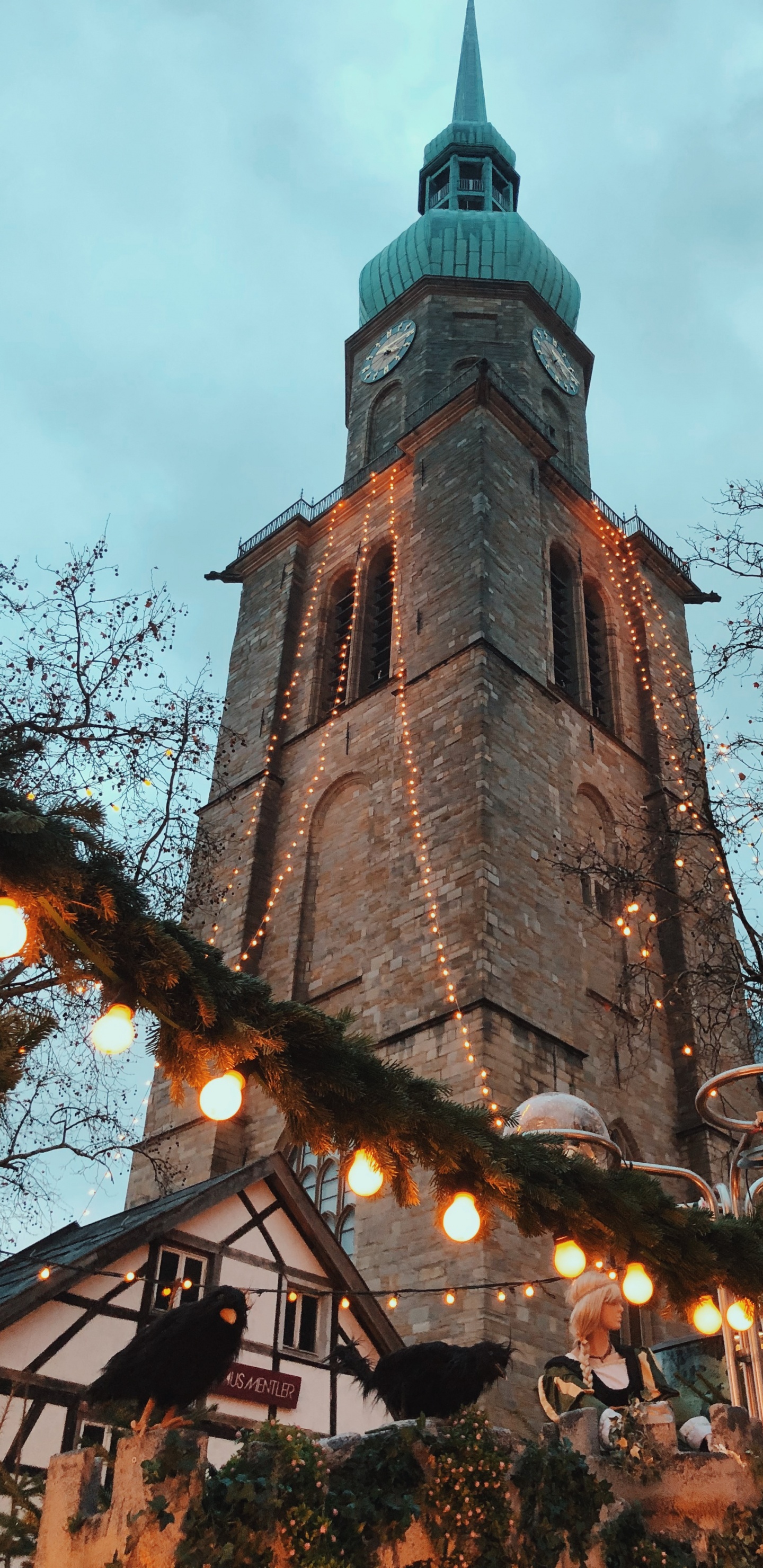 Обои ориентир, ветвь, прут, флерон, шпиль в разрешении 1440x2960