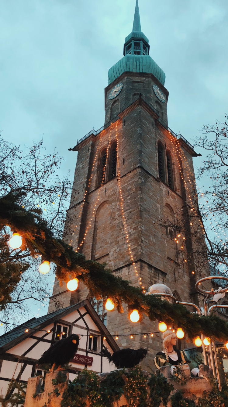 Обои ориентир, ветвь, прут, флерон, шпиль в разрешении 750x1334