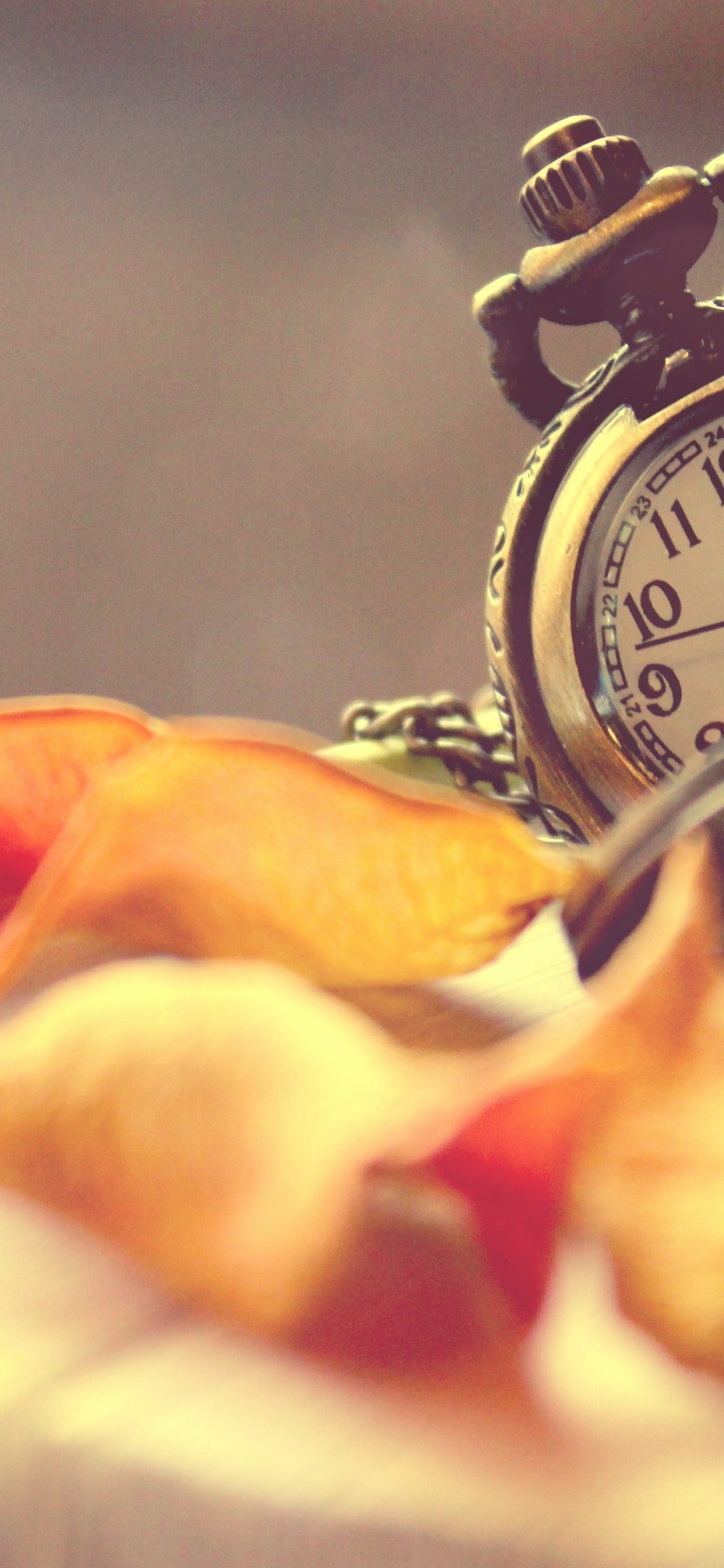 Обои ветер и я, все должно измениться, часы, аналоговые часы, будильник в разрешении 1125x2436