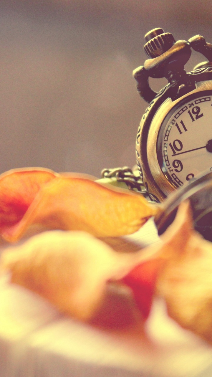 Обои ветер и я, все должно измениться, часы, аналоговые часы, будильник в разрешении 720x1280