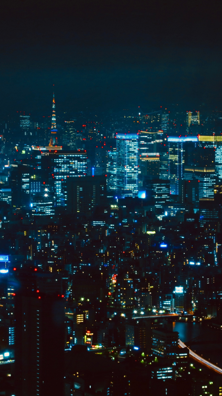 Обои ночь, город, городской пейзаж, метрополия, городской район в разрешении 750x1334