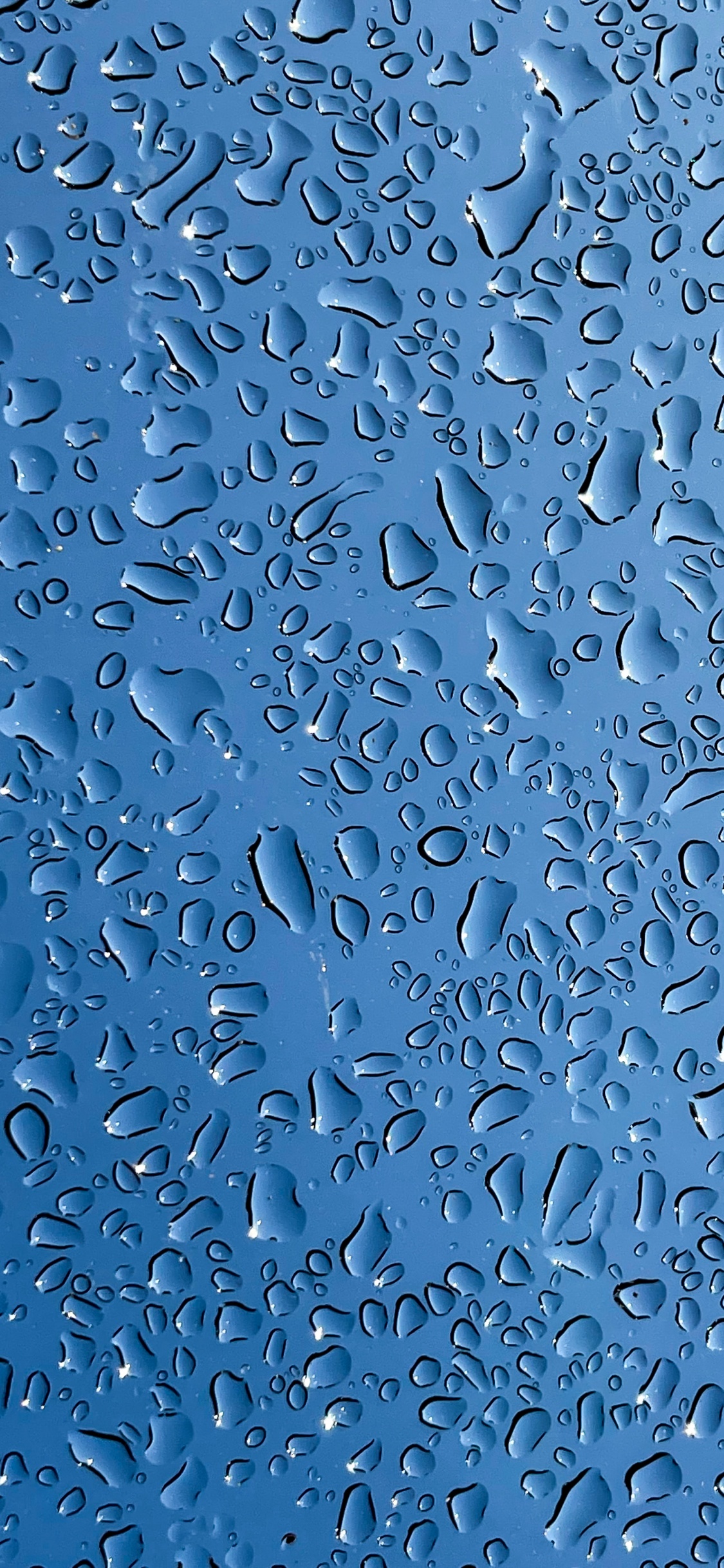 Обои мечеть Намира, жидкий, вода, лазурный, синий в разрешении 1125x2436