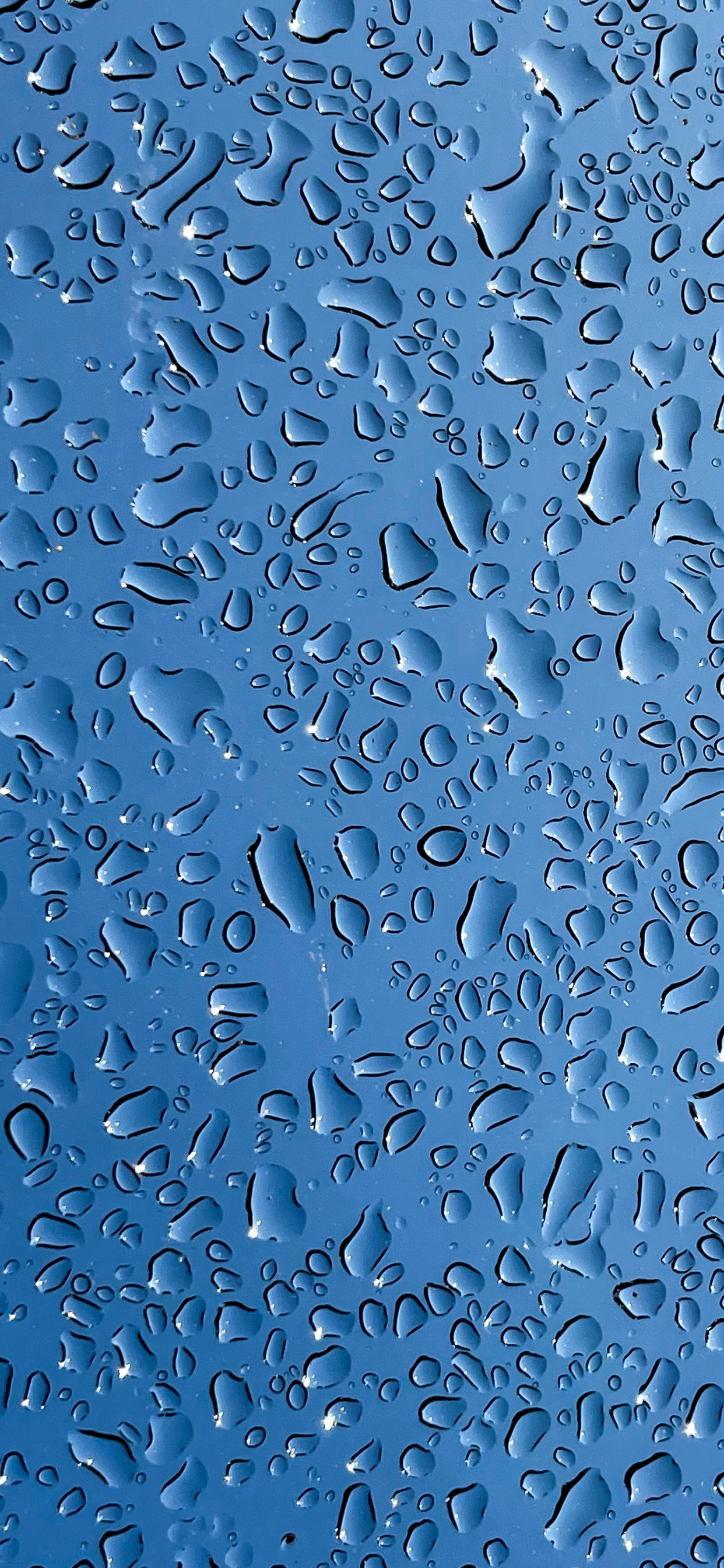 Обои мечеть Намира, жидкий, вода, лазурный, синий в разрешении 1242x2688