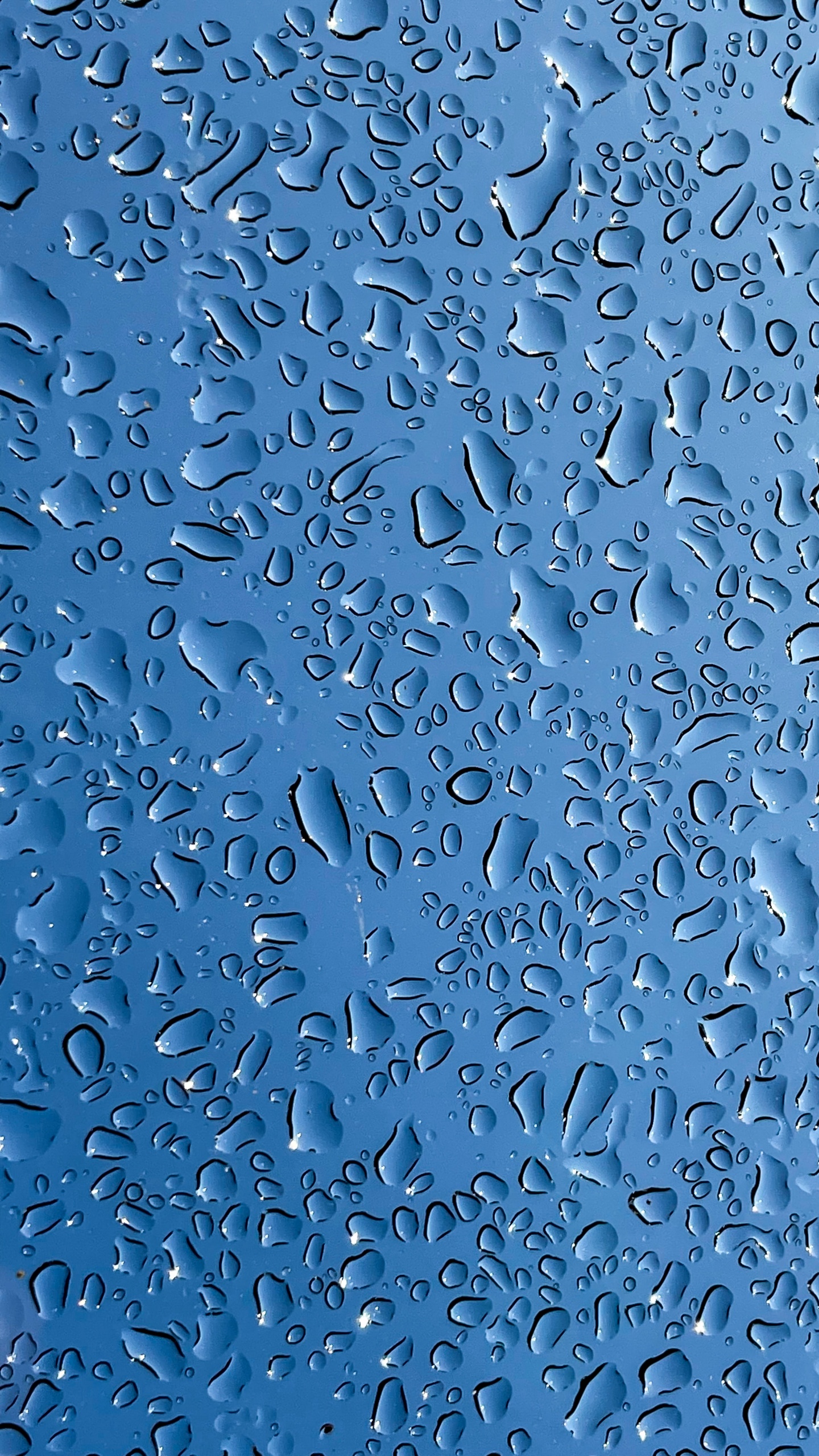 Обои мечеть Намира, жидкий, вода, лазурный, синий в разрешении 1440x2560