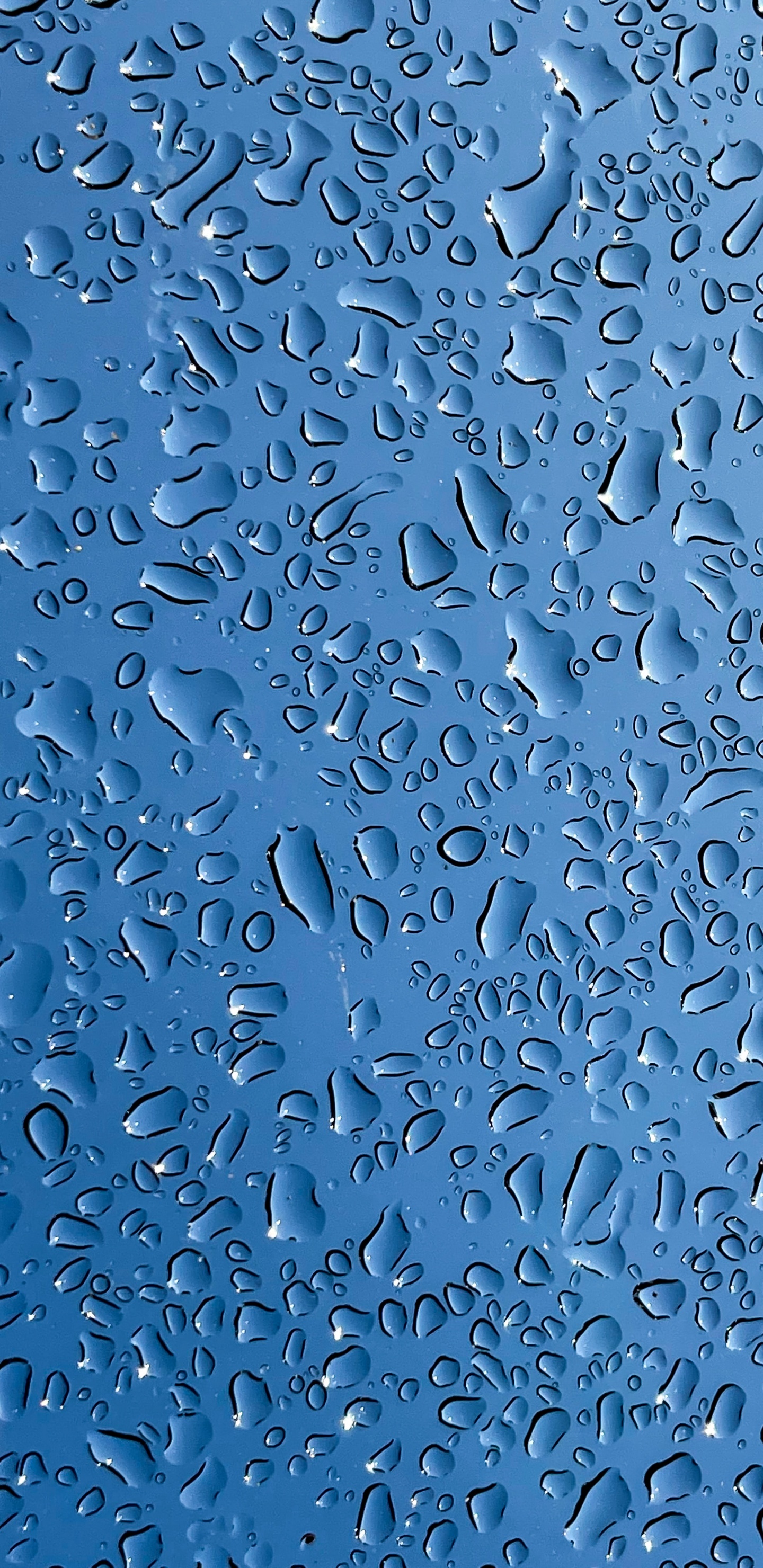 Обои мечеть Намира, жидкий, вода, лазурный, синий в разрешении 1440x2960