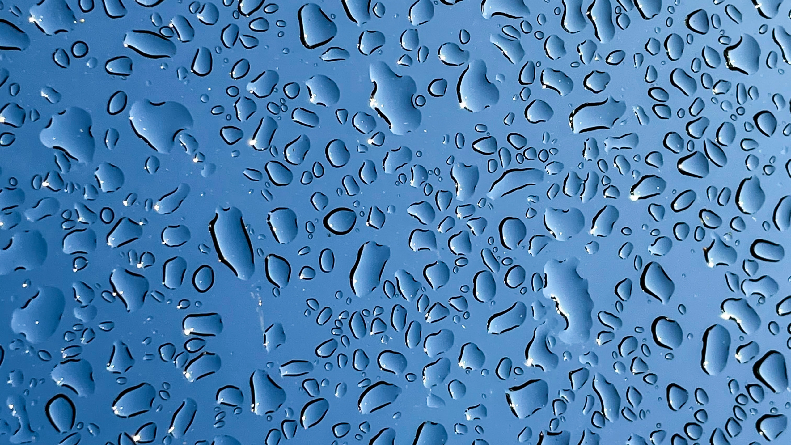 Обои мечеть Намира, жидкий, вода, лазурный, синий в разрешении 2560x1440