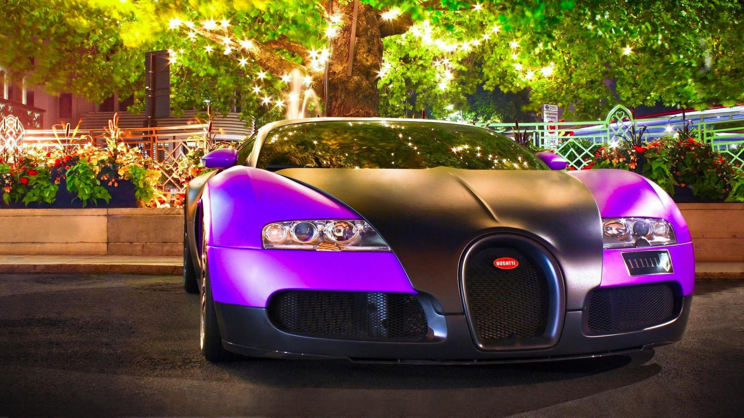 Обои bugatti, авто, спорткар, суперкар, Бугатти вейрон в разрешении 2560x1440