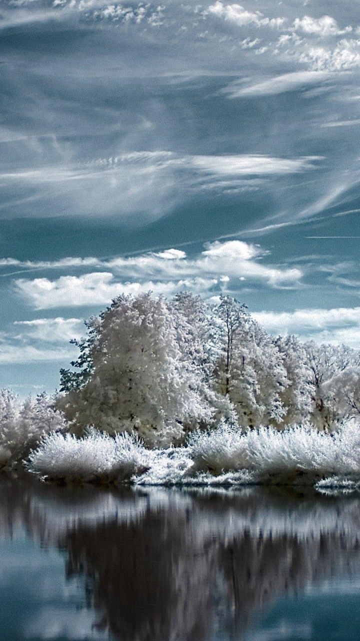 Обои Тернер Филд, природа, вода, отражение, облако в разрешении 720x1280