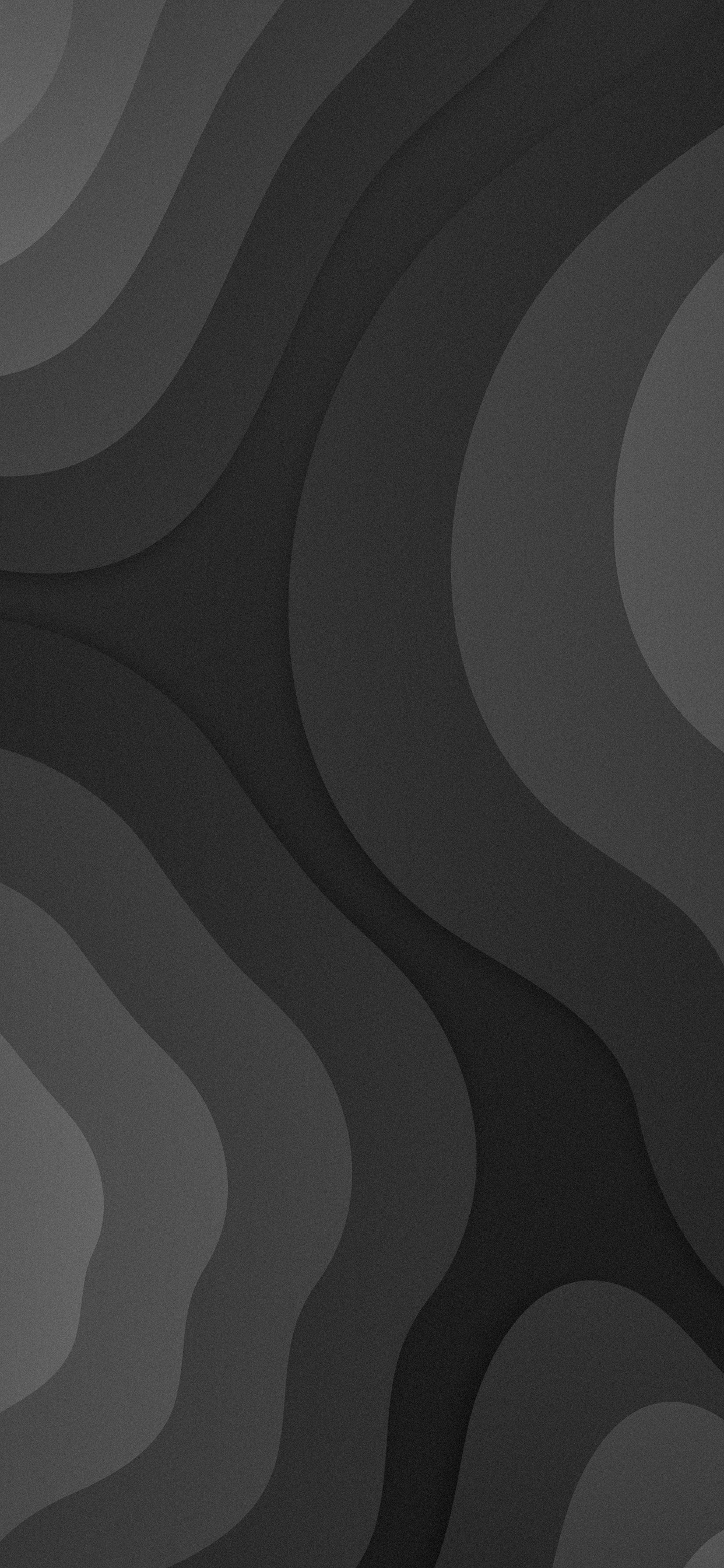 Обои черный и белый, коричневый цвет, серый цвет, арт, полутона и оттенки в разрешении 1242x2688