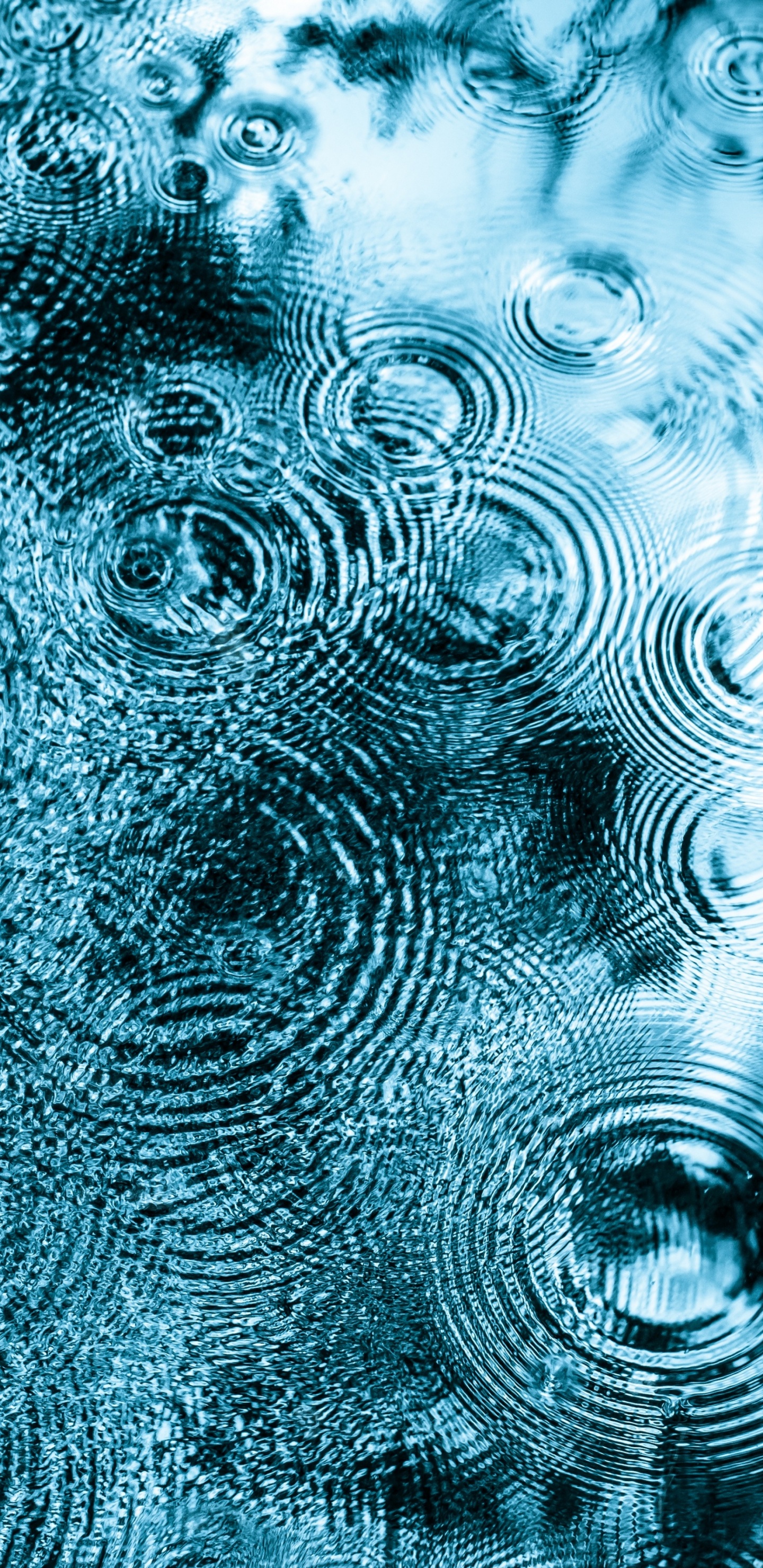 Обои поверхность воды, поверхностное натяжение, падение, вода, капиллярные волны в разрешении 1440x2960