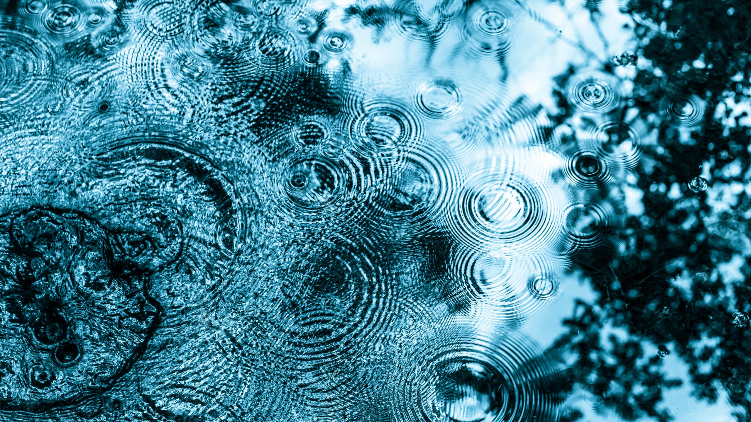 Обои поверхность воды, поверхностное натяжение, падение, вода, капиллярные волны в разрешении 2560x1440