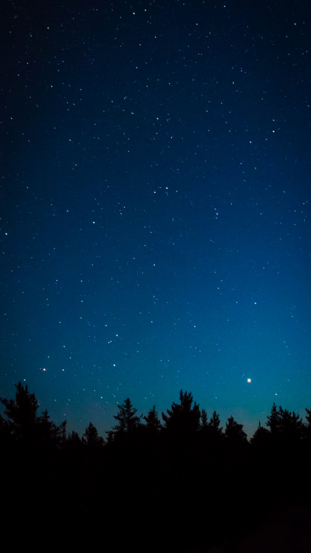 Обои Астрономия, атмосфера, природный ландшафт, окружающая среда, дерево в разрешении 1080x1920