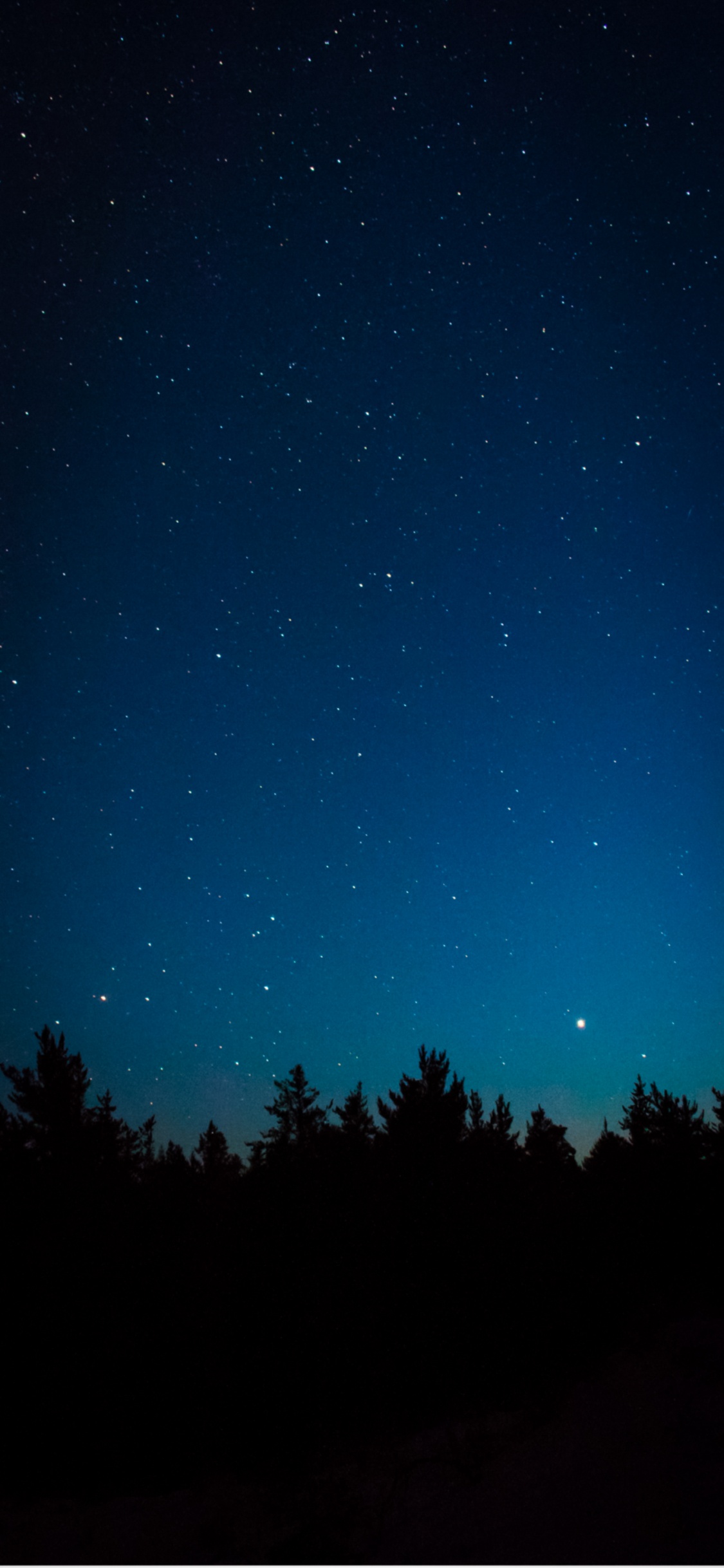 Обои Астрономия, атмосфера, природный ландшафт, окружающая среда, дерево в разрешении 1125x2436