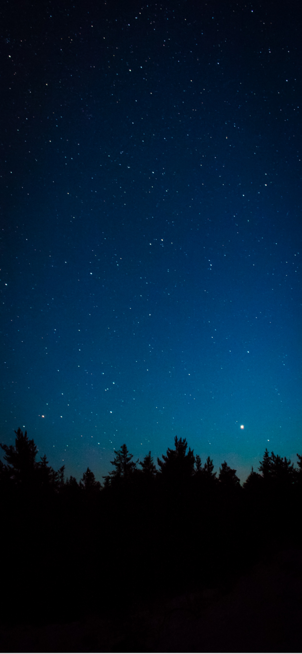 Обои Астрономия, атмосфера, природный ландшафт, окружающая среда, дерево в разрешении 1242x2688