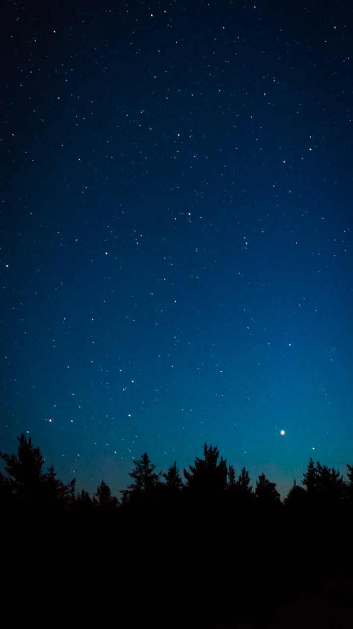 Обои Астрономия, атмосфера, природный ландшафт, окружающая среда, дерево в разрешении 720x1280