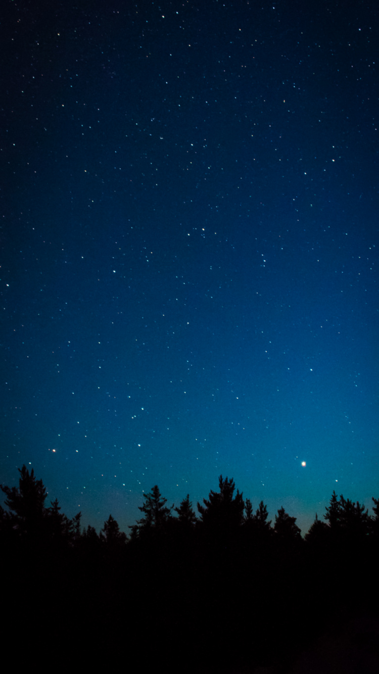 Обои Астрономия, атмосфера, природный ландшафт, окружающая среда, дерево в разрешении 750x1334