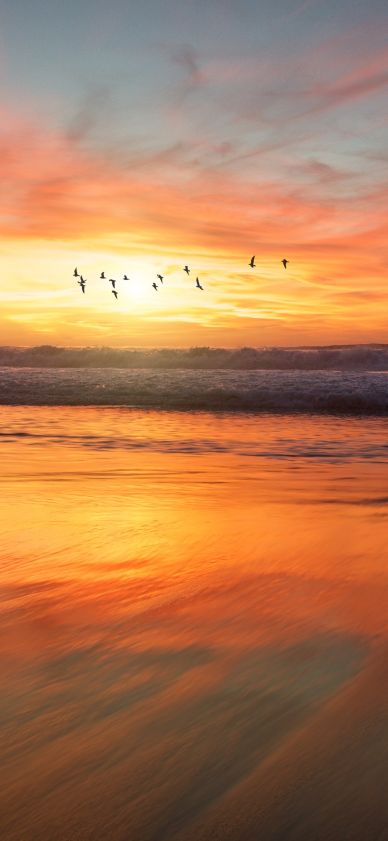 Обои закат, восход солнца, горизонт, послесвечение, природа в разрешении 1242x2688