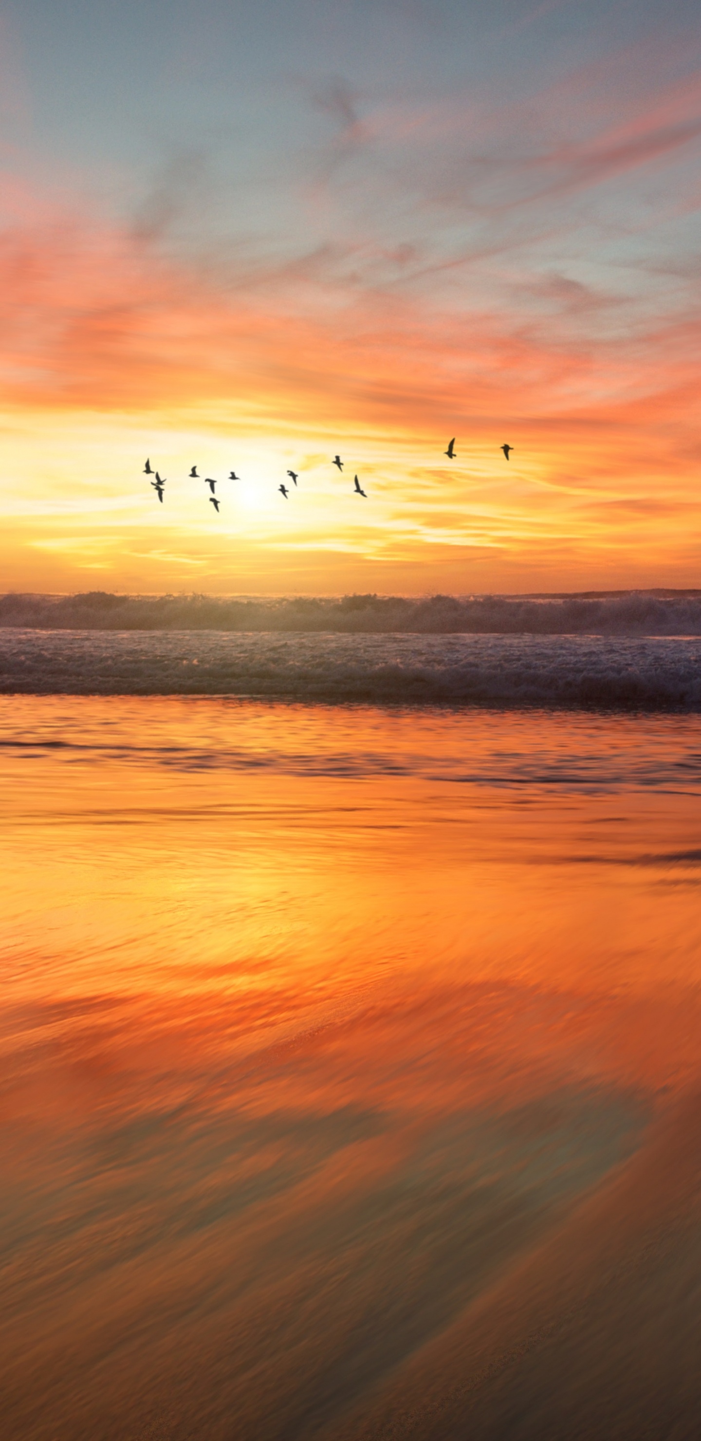 Обои закат, восход солнца, горизонт, послесвечение, природа в разрешении 1440x2960