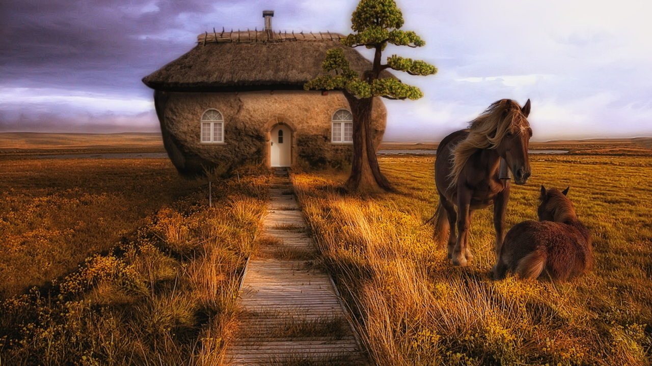 Обои сельский район, прерия, пейзаж, сенокосное угодье, дерево в разрешении 1280x720