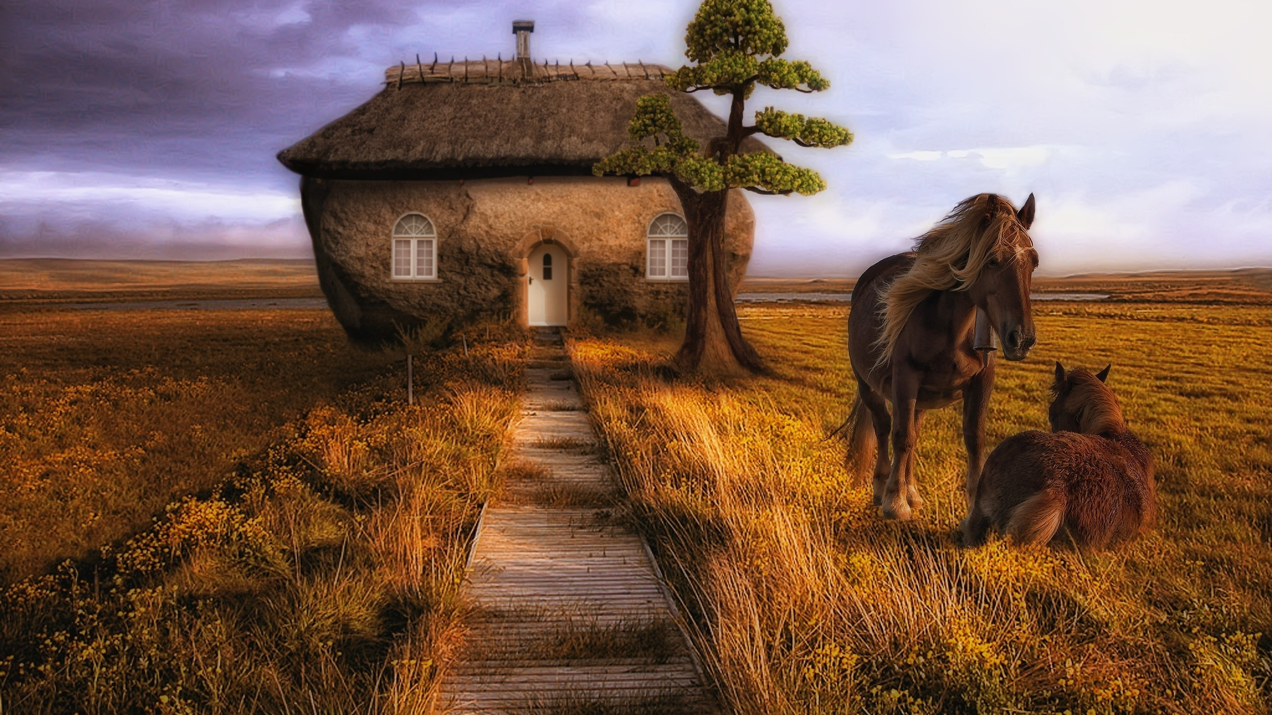 Обои сельский район, прерия, пейзаж, сенокосное угодье, дерево в разрешении 2560x1440