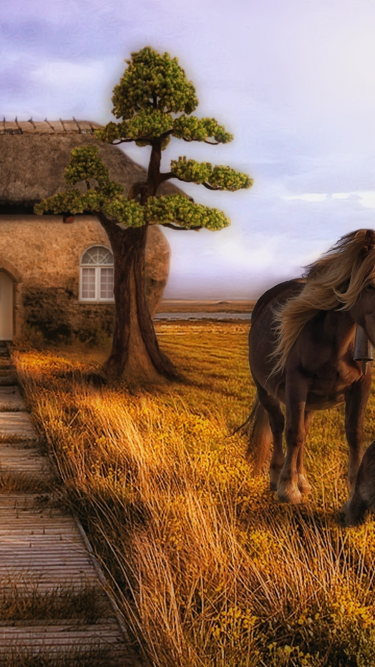 Обои сельский район, прерия, пейзаж, сенокосное угодье, дерево в разрешении 750x1334