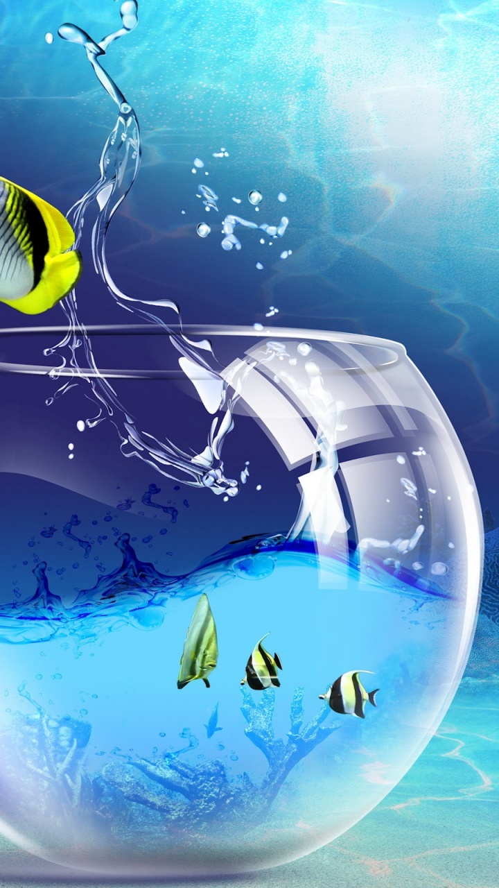 Обои вода, рыбы, анимация в разрешении 720x1280