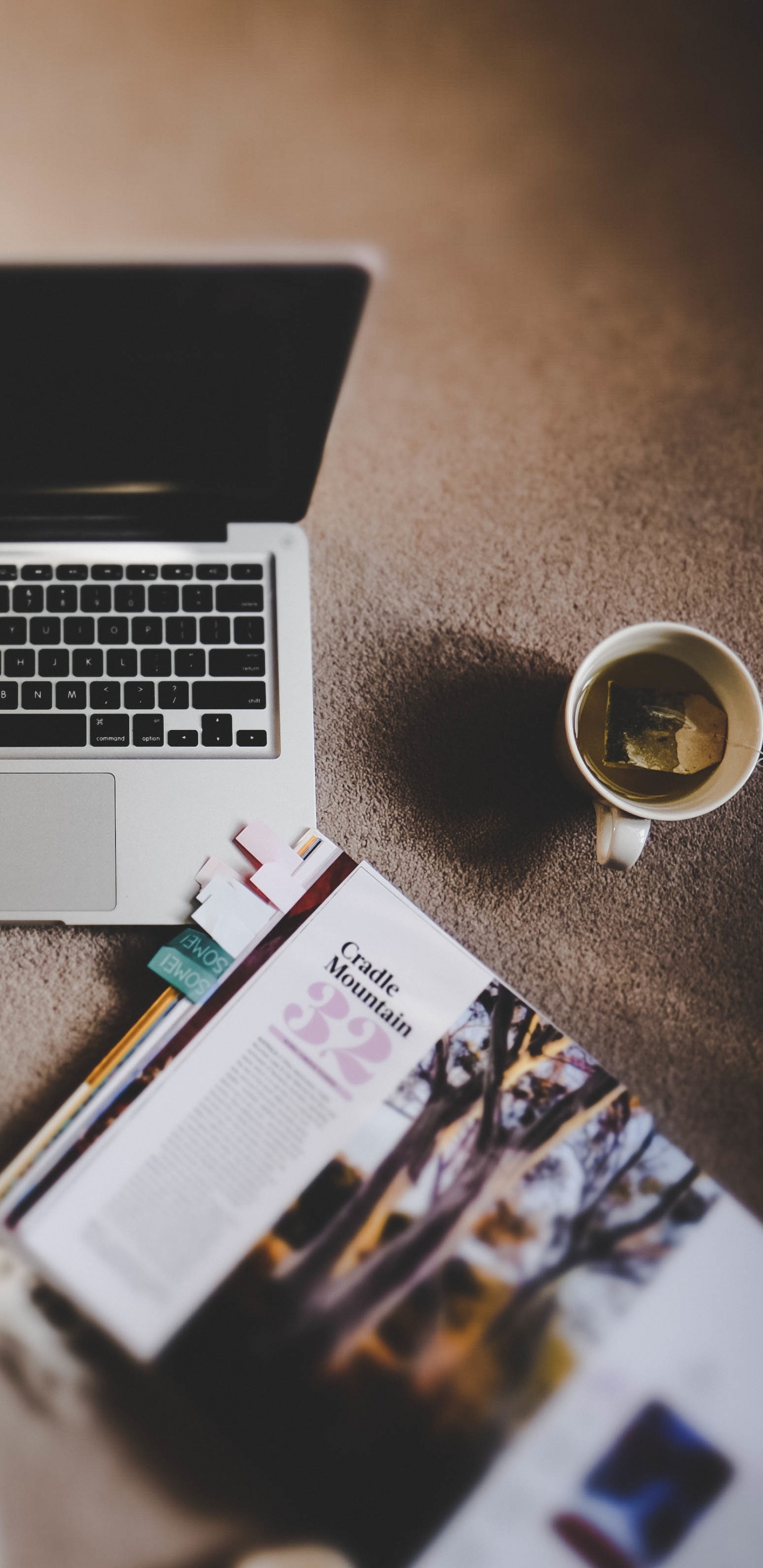 Обои делопроизводство, дистанционное присутствие, фрилансер, офис, технологии в разрешении 1440x2960