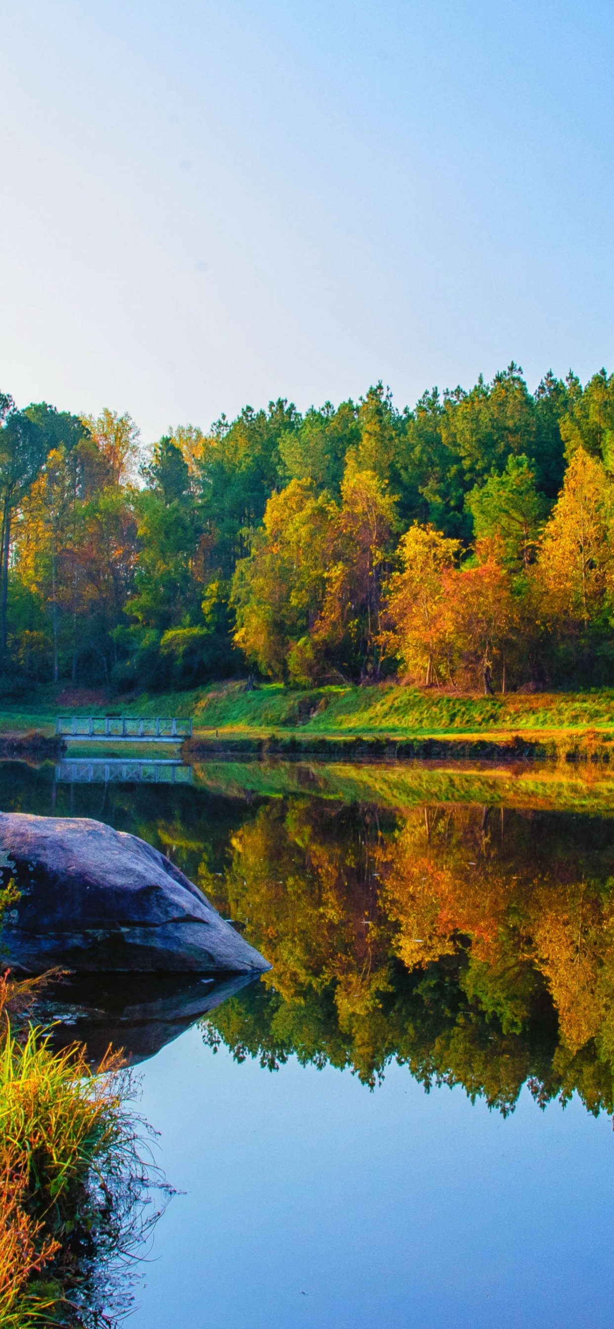 Обои Веллингтонский ботанический сад, Ботанический сад, природа, пейзаж, вода в разрешении 1242x2688