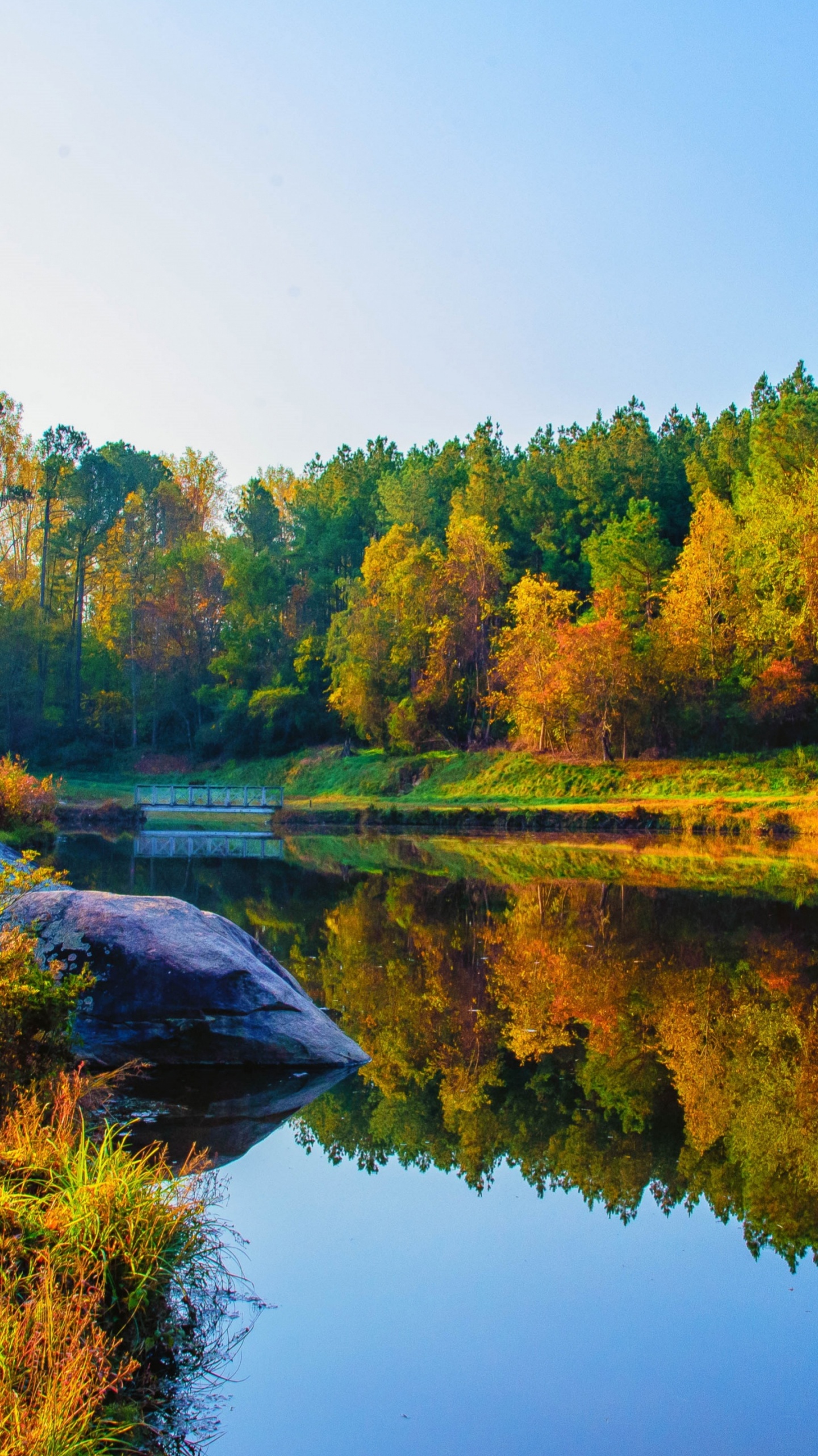 Обои Веллингтонский ботанический сад, Ботанический сад, природа, пейзаж, вода в разрешении 1440x2560