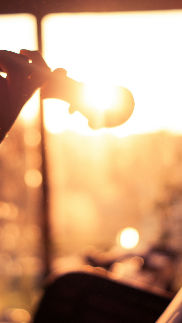 Обои скрипка, свет, солнечный свет, струнный инструмент, ноты в разрешении 750x1334