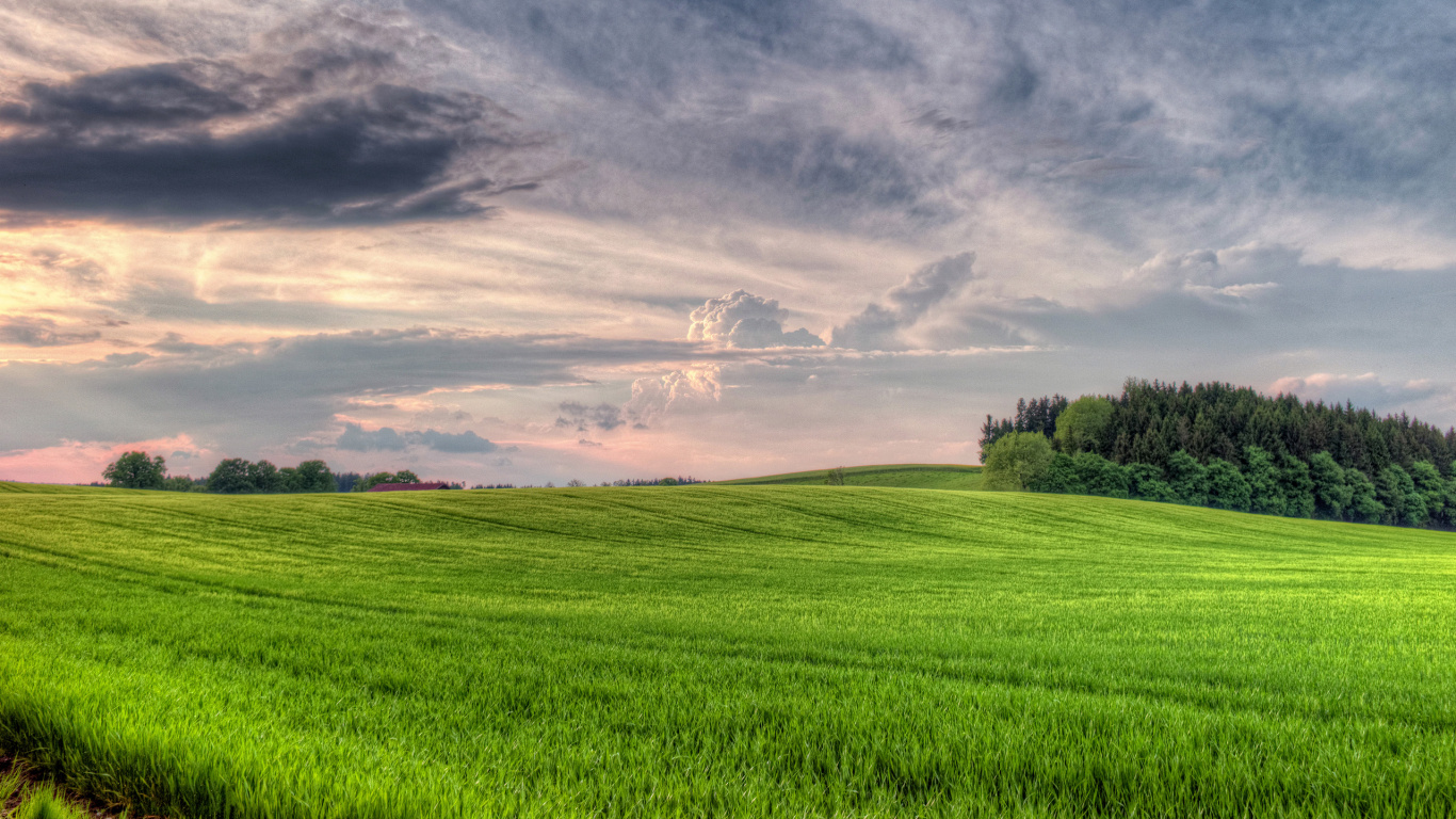 Обои поле, луг, природа, сенокосное угодье, облако в разрешении 1366x768