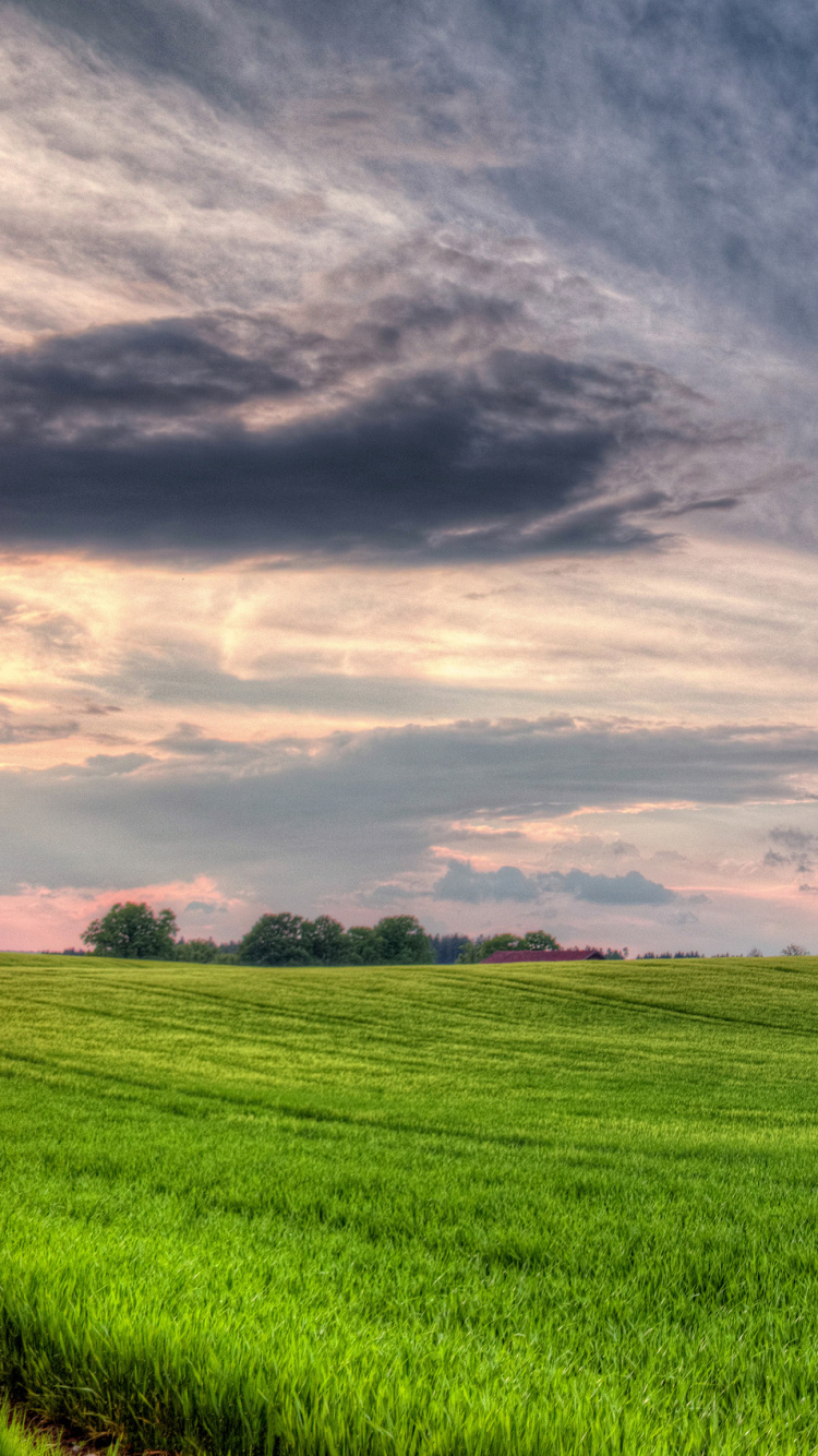 Обои поле, луг, природа, сенокосное угодье, облако в разрешении 750x1334