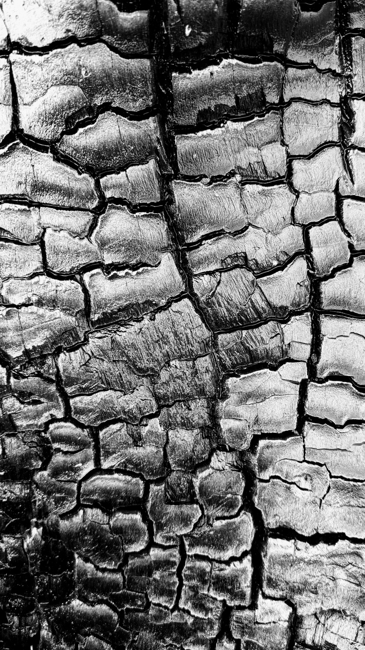 Обои каменная стена, черный и белый, дорожное покрытие, серый цвет, строительный материал в разрешении 750x1334