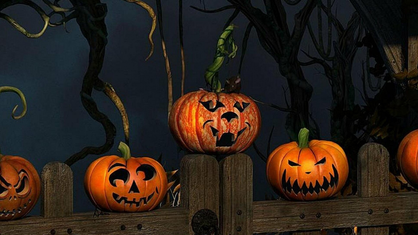 Обои тыква, мимика, калебас, природа, лист в разрешении 1366x768